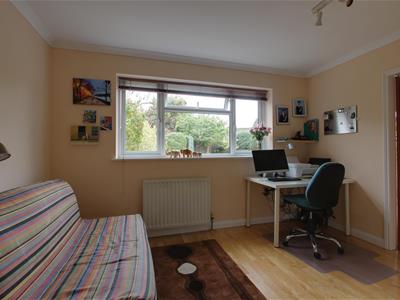Picture 15